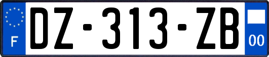 DZ-313-ZB