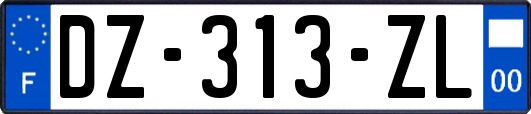 DZ-313-ZL