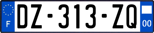 DZ-313-ZQ