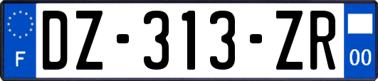 DZ-313-ZR