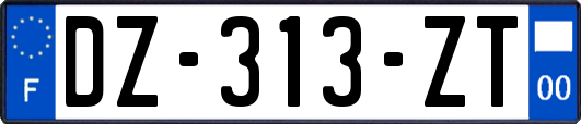 DZ-313-ZT