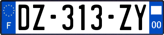 DZ-313-ZY