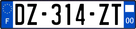 DZ-314-ZT