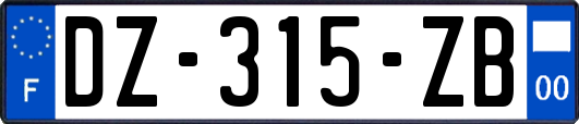 DZ-315-ZB