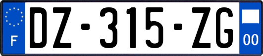 DZ-315-ZG