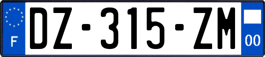 DZ-315-ZM