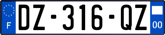 DZ-316-QZ