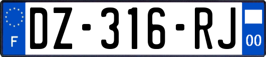 DZ-316-RJ