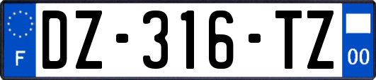 DZ-316-TZ