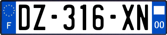 DZ-316-XN