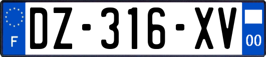 DZ-316-XV