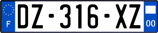 DZ-316-XZ