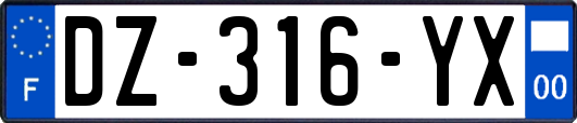 DZ-316-YX