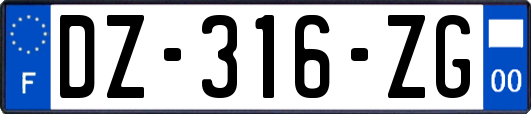 DZ-316-ZG