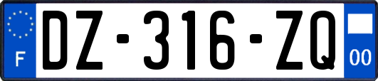 DZ-316-ZQ