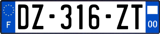 DZ-316-ZT