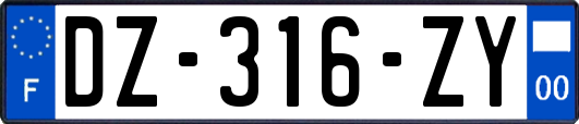 DZ-316-ZY