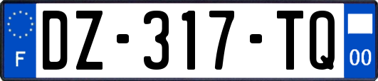 DZ-317-TQ