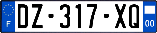 DZ-317-XQ