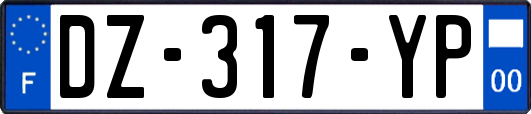 DZ-317-YP