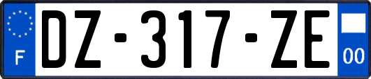 DZ-317-ZE