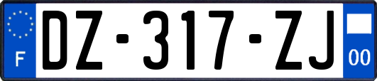 DZ-317-ZJ