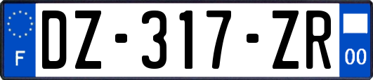 DZ-317-ZR