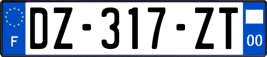 DZ-317-ZT