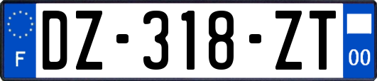 DZ-318-ZT