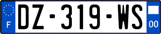 DZ-319-WS