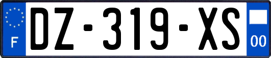 DZ-319-XS