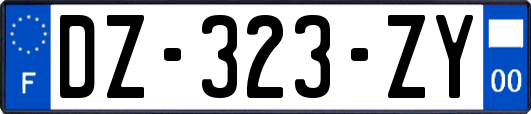 DZ-323-ZY