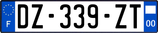 DZ-339-ZT