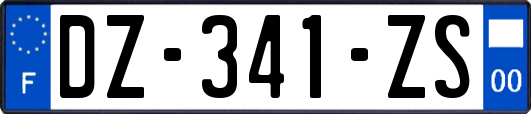 DZ-341-ZS