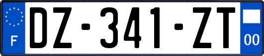 DZ-341-ZT