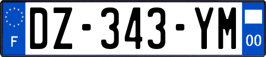 DZ-343-YM