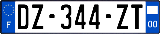 DZ-344-ZT