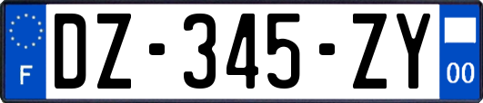 DZ-345-ZY