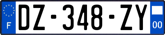 DZ-348-ZY