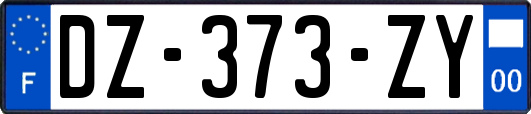 DZ-373-ZY