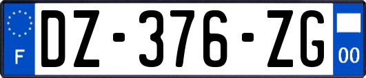 DZ-376-ZG