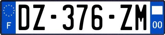 DZ-376-ZM