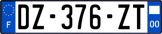 DZ-376-ZT