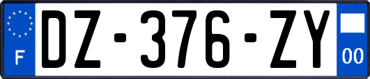 DZ-376-ZY