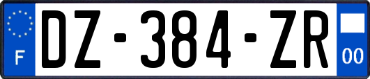 DZ-384-ZR