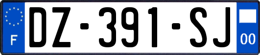 DZ-391-SJ