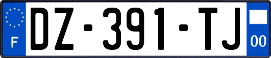 DZ-391-TJ