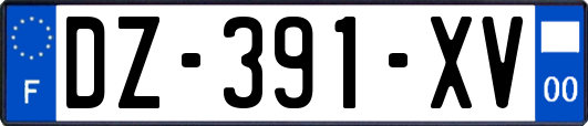 DZ-391-XV