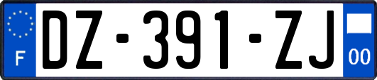 DZ-391-ZJ