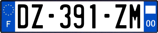 DZ-391-ZM